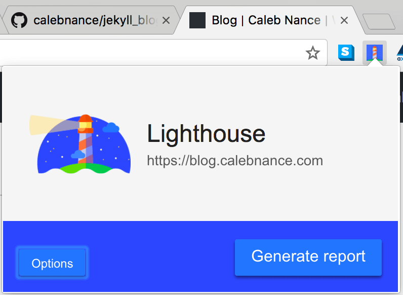 google lighthouse screenshot